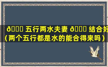 🐅 五行两水夫妻 🐞 结合好吗（两个五行都是水的能合得来吗）